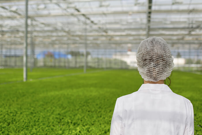 Engenheiro Agrícola – Gestão de Lamas e Valorização Agrícola